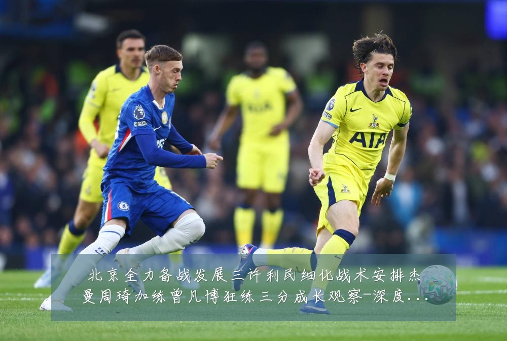北京全力备战发展三许利民细化战术安排杰曼周琦加练曾凡博狂练三分成长观察-深度解析