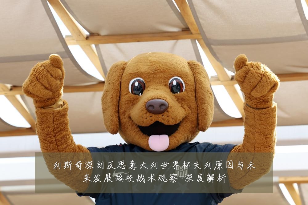 利斯奇深刻反思意大利世界杯失利原因与未来发展路径战术观察-深度解析