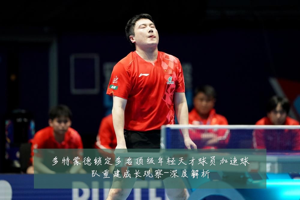 多特蒙德锁定多名顶级年轻天才球员加速球队重建成长观察-深度解析
